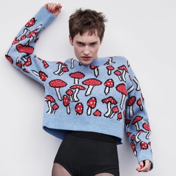 Zara mushroom sweater Clearance